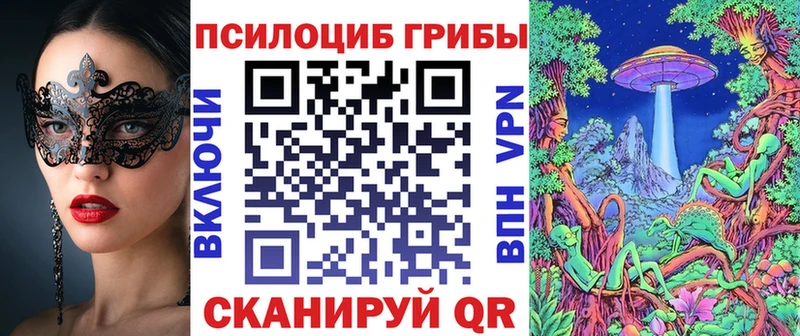 Купить где  Берёзовский  Псилоцибиновые грибы Psilocybine cubensis 